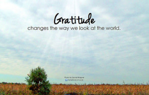 gratitude