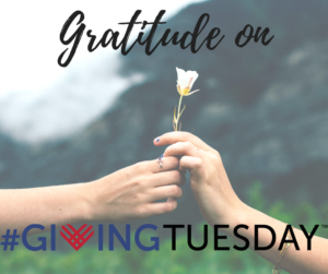Gratitude on Giving Tuesday