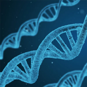 DNA testing and adoption search