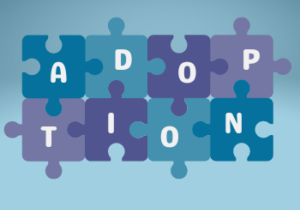 adoption competent therapy