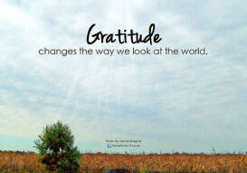 gratitude